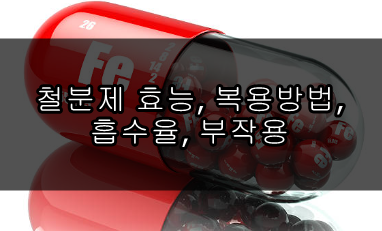 철분제 효능, 복용방법, 흡수율, 부작용