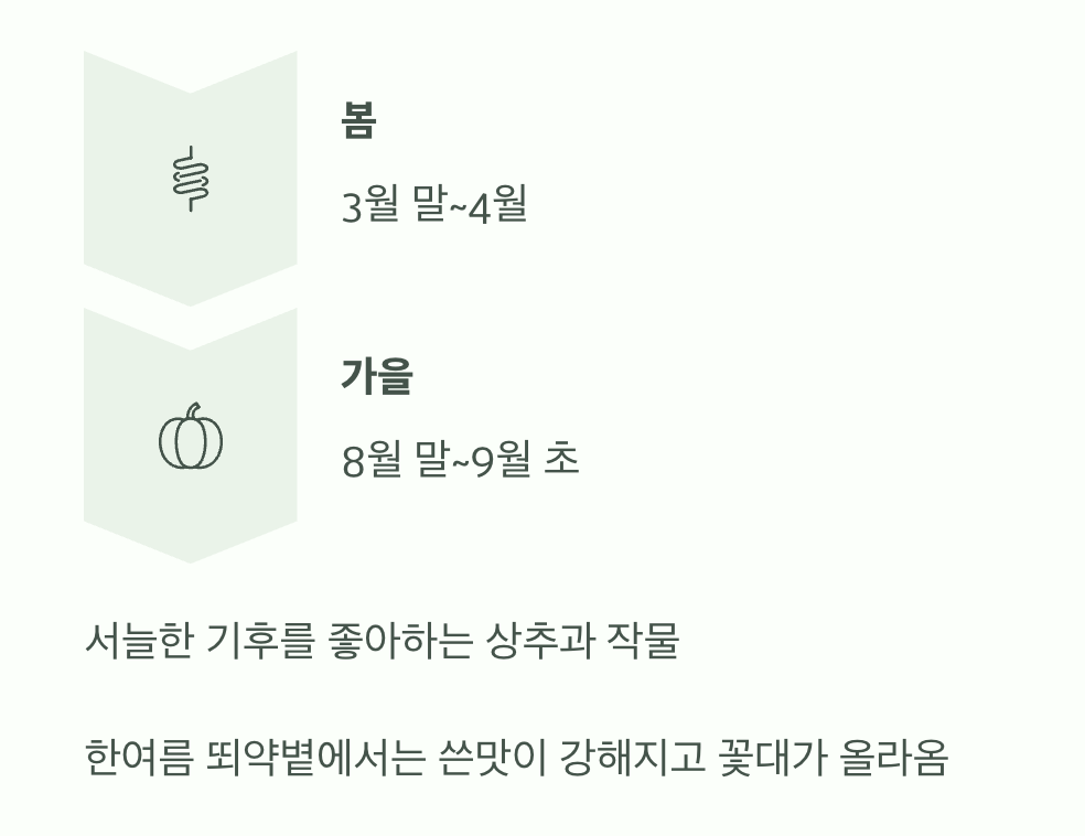 씨앗 뿌리기, 딱 좋은 시기는?
