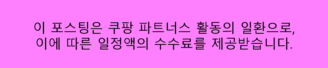 2025 휴대용 구강세정기 추천 TOP 5