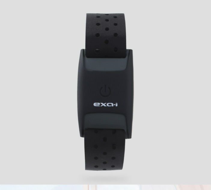 심박계 암 밴드형