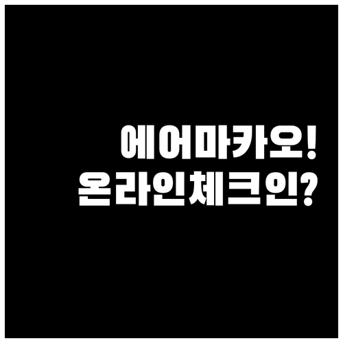 에어마카오 온라인체크인 자주 묻는 질..