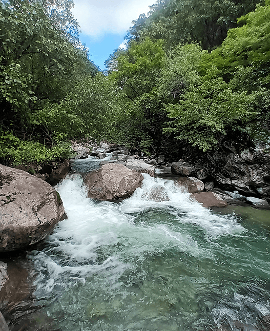 지장산계곡