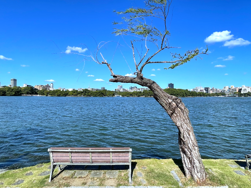 후쿠오카 미술관 오호리공원 감상