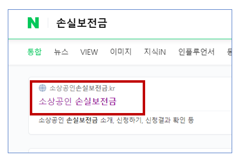 손실보전금