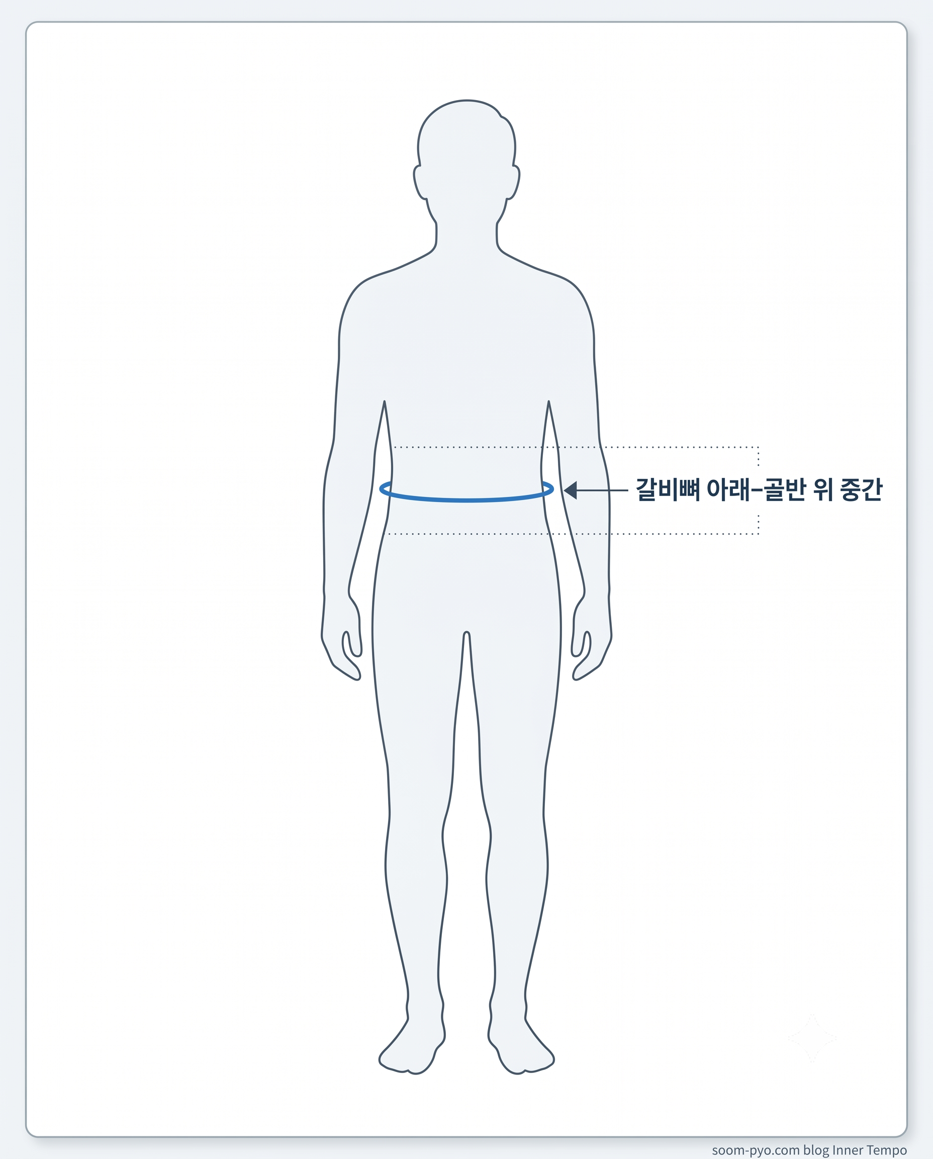 허리둘레 측정 위치를 보여주는 간단한 인체 라인