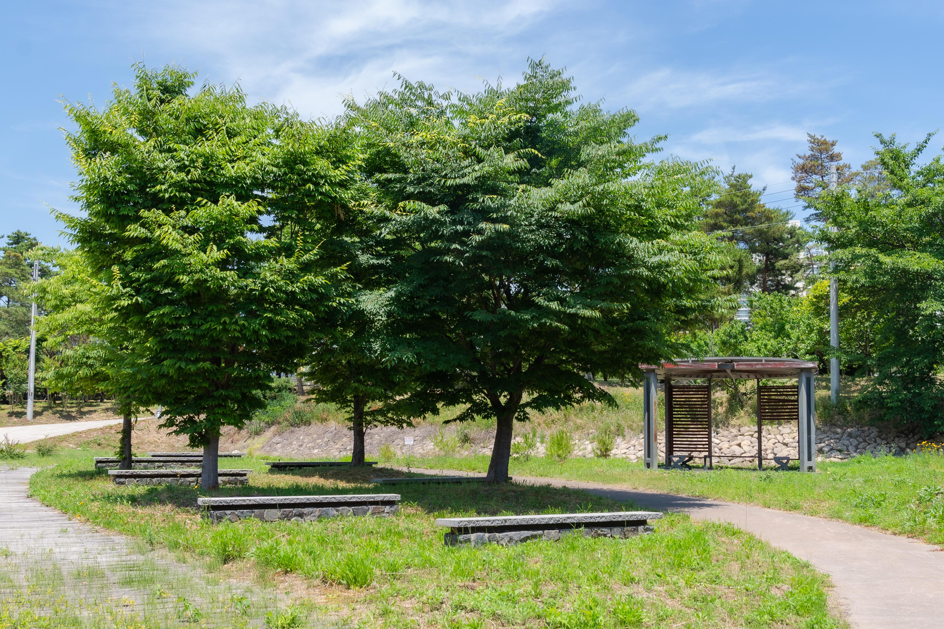 전천생활체육공원 