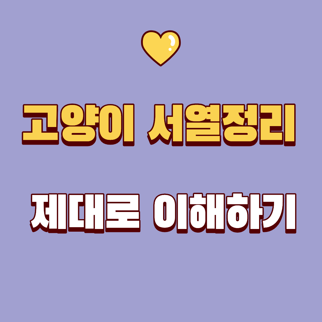고양이 서열정리 제대로 이해하기｜집사가 꼭 알아야 할 관찰 포인트와 개입법