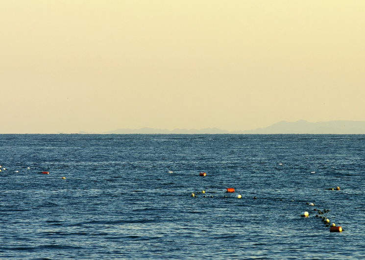 대마도 바다 사진