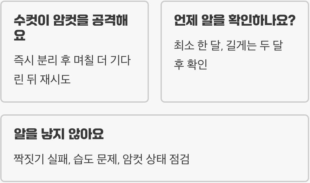 톱사슴벌레 짝짓기, 성공률 100% 높이는 합사 타이밍과 산란 세팅 노하우