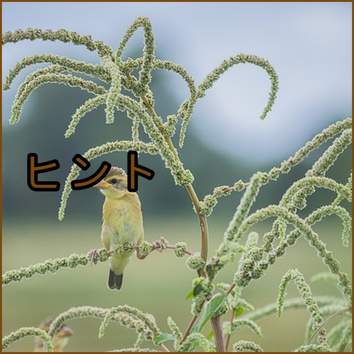 長水ナボムリゾート チェックアウト12時