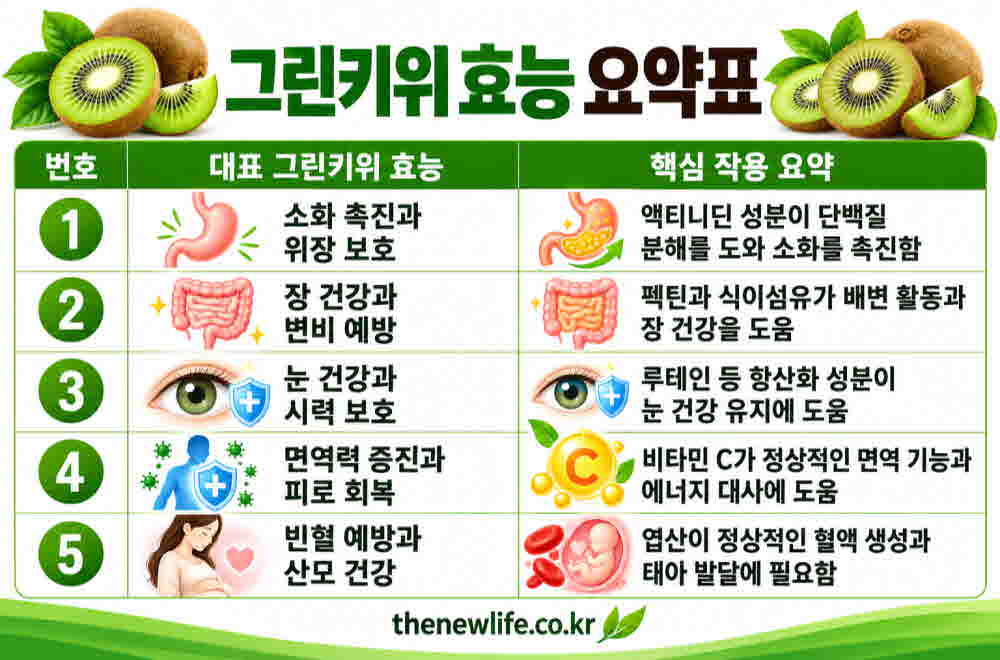 그린키위 효능 요약표