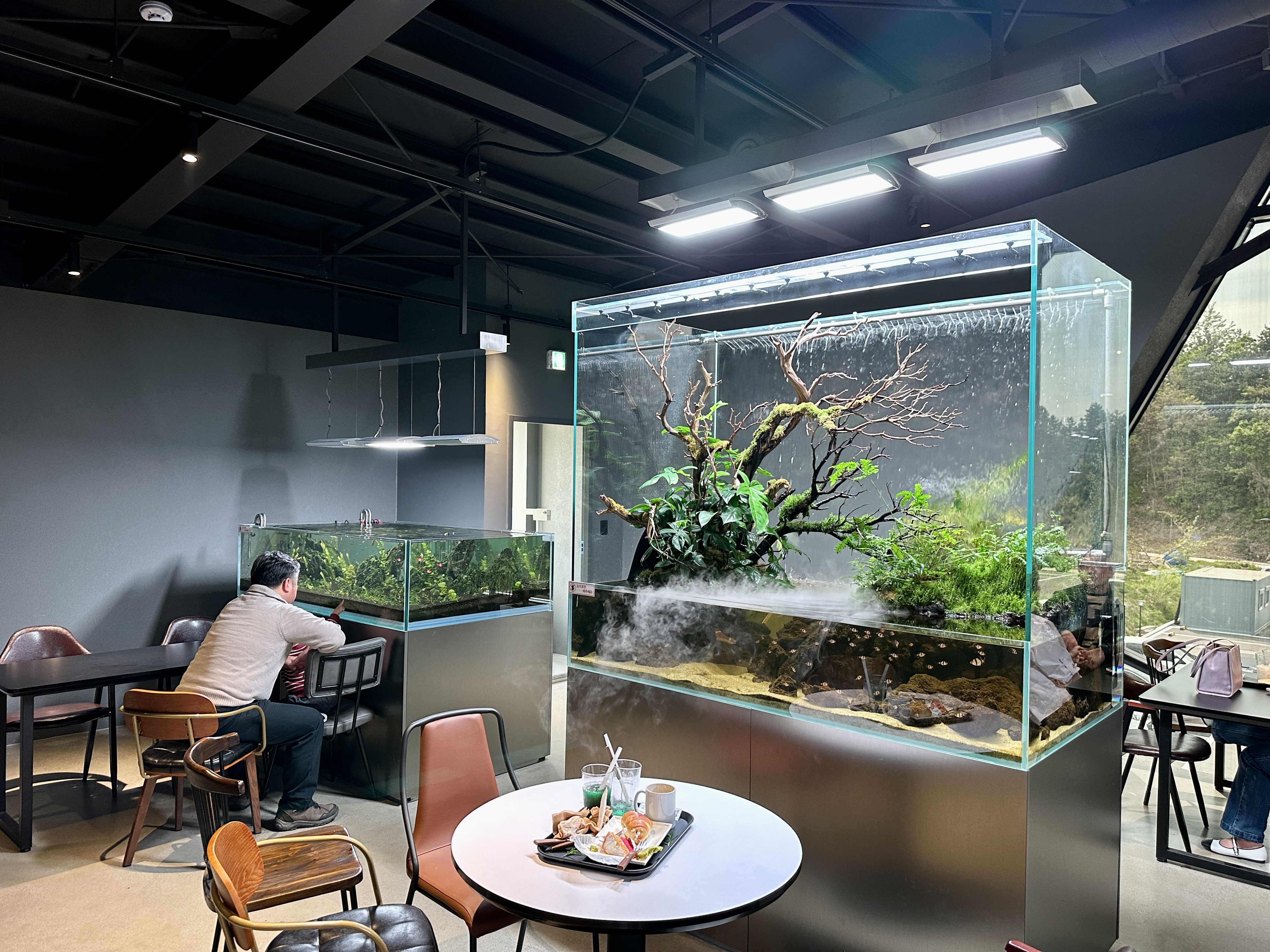 춘천 카페리움 수족관