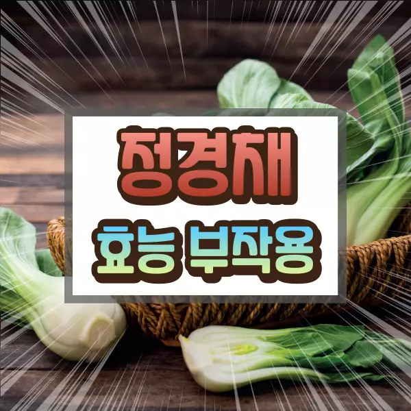 청경채 효능 부작용