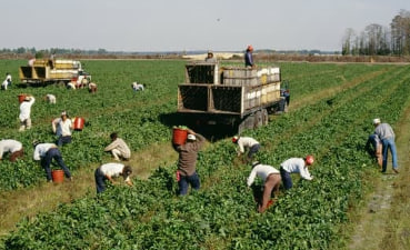 2024 농민수당 신청자격, 방법, 기간, 지원금액