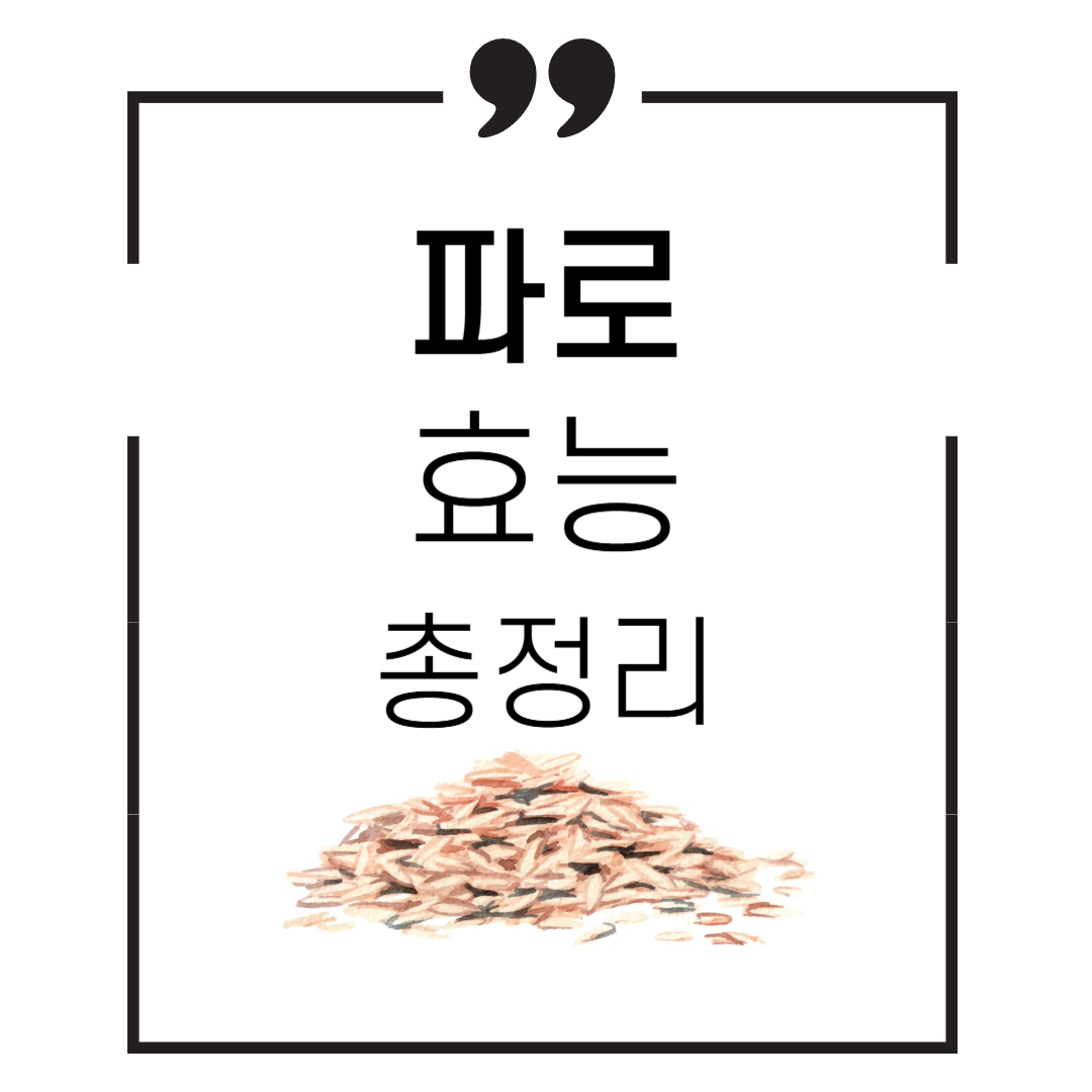 파로 효능