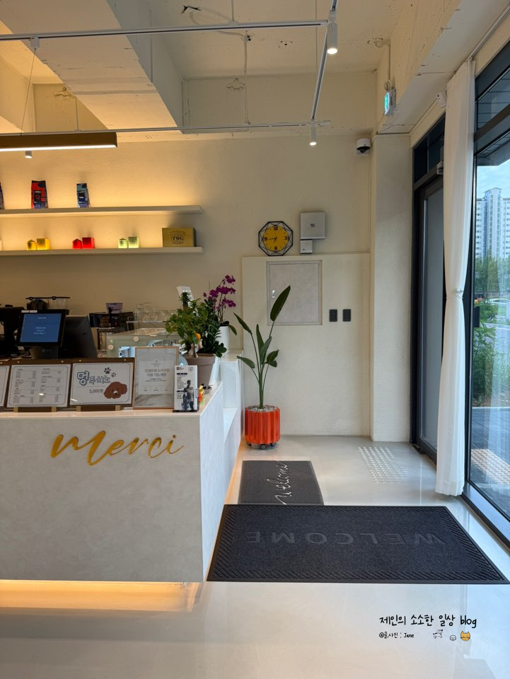 파주운정애견동반카페