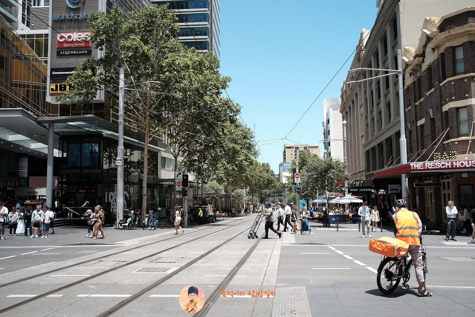 2024년 12월 19일 시드니