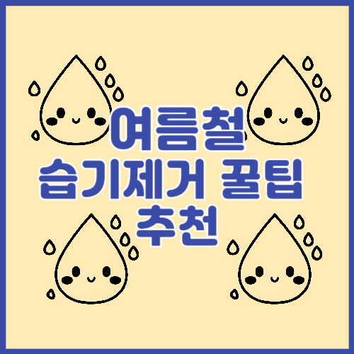 여름철 습기제거 꿀팁 추천
