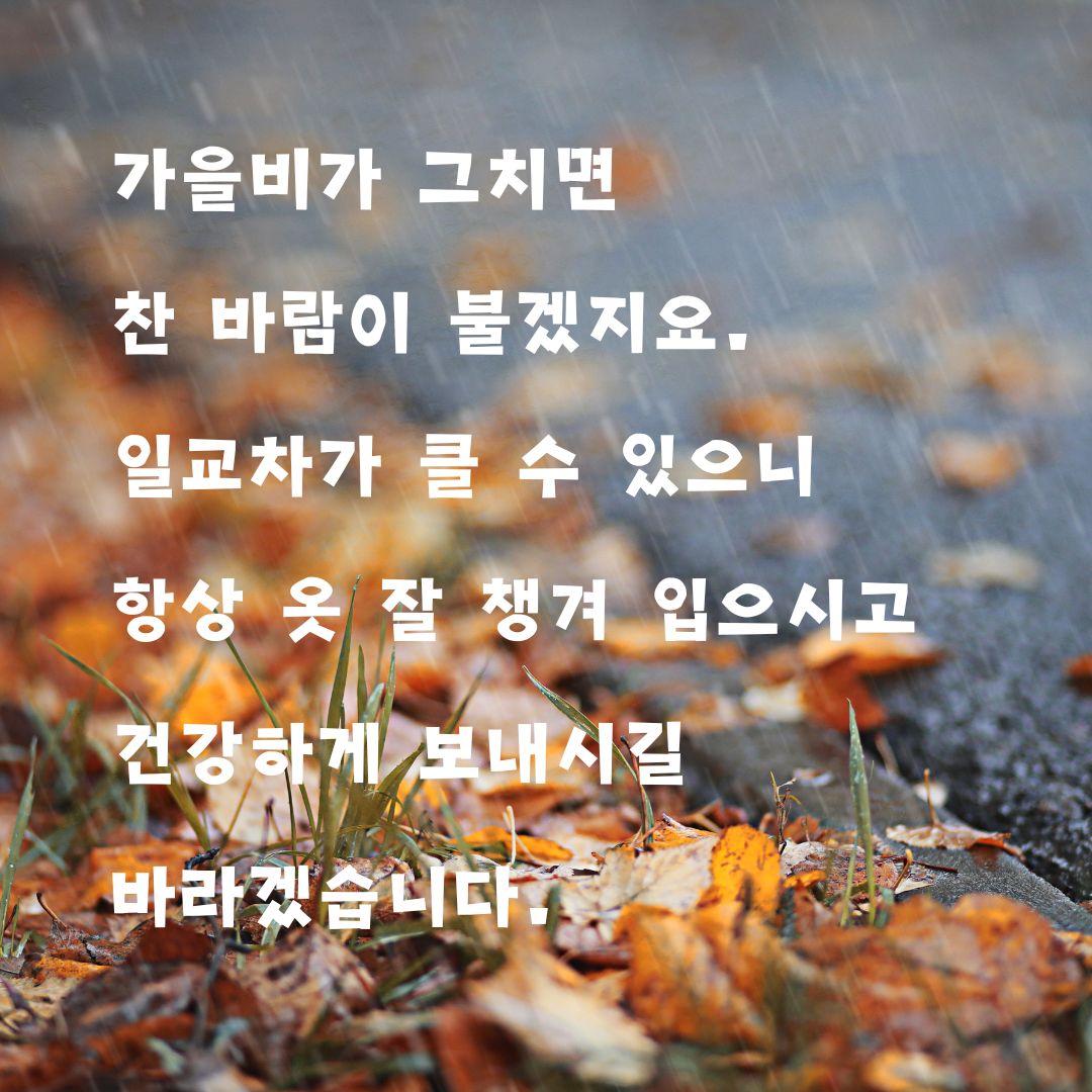 가을비 내리는 날 인사말 이미지 문구 모음