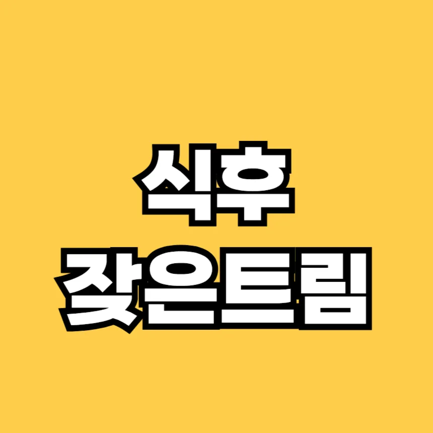 식후 잦은 트림