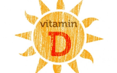 비타민d 이미지