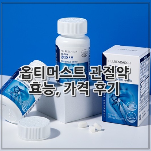옵티머스트 관절약 효능, 가격 후기
