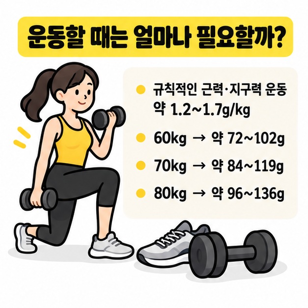 운동할 때 체중 1kg당 단백질 섭취 범위를 계산하는 그림