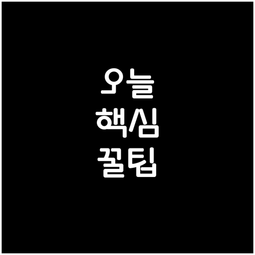 미국 ESTA 무비자 90일 체류 수..