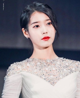 아이유 악플러 고소