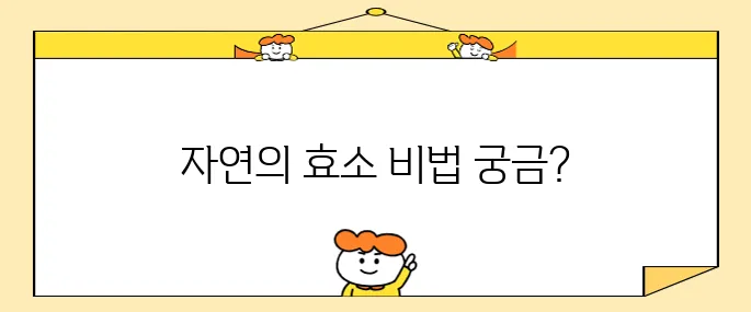 카무트 효소 만드는 법을 간단하게 알아봅시다!