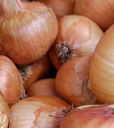 양파 효능 사진34