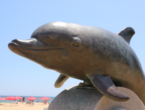 속초 여행 명소 BEST 4