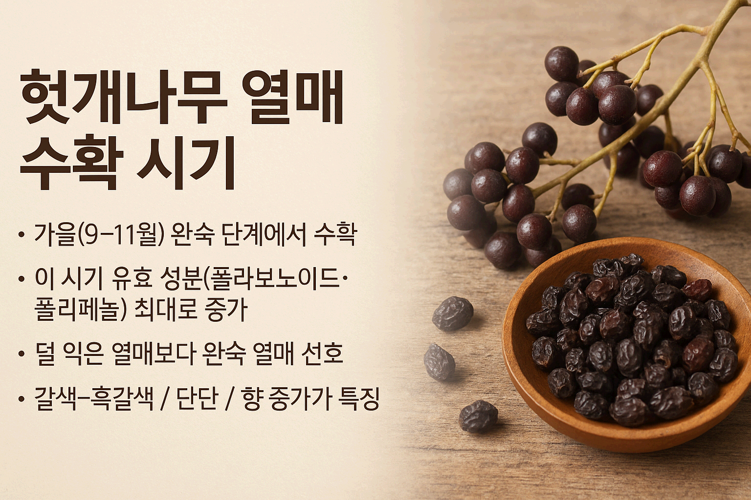 헛개나무열매