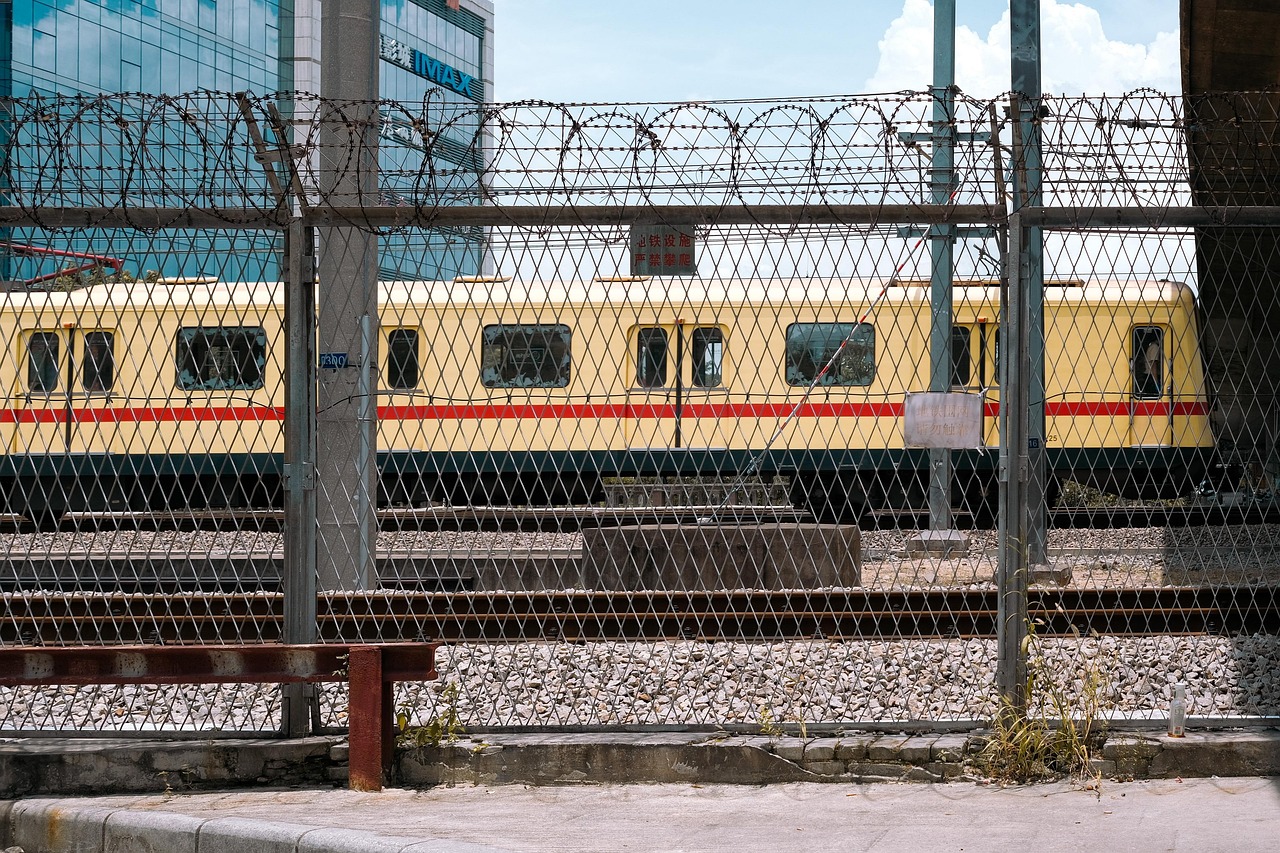 기후동행카드 신청방법 사용구간 구매방법 충전 따릉이 이용법 완벽정리