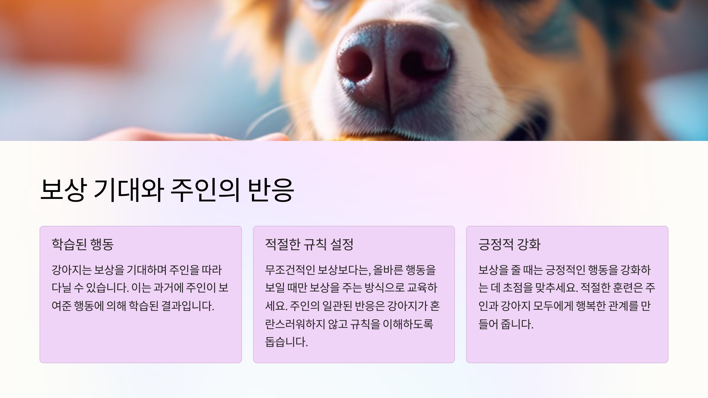 보상 기대와 주인의 반응