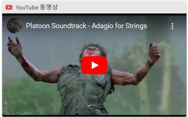 영화 플래툰 OST