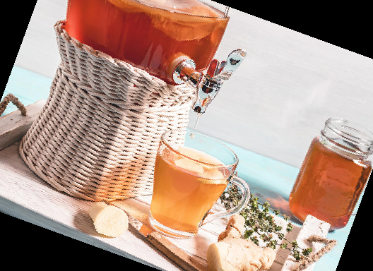 콤부차 효능 부작용 이디아 콤부차