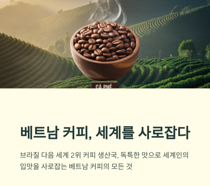 베트남 커피, 세계를 사로잡는 향과 이야기