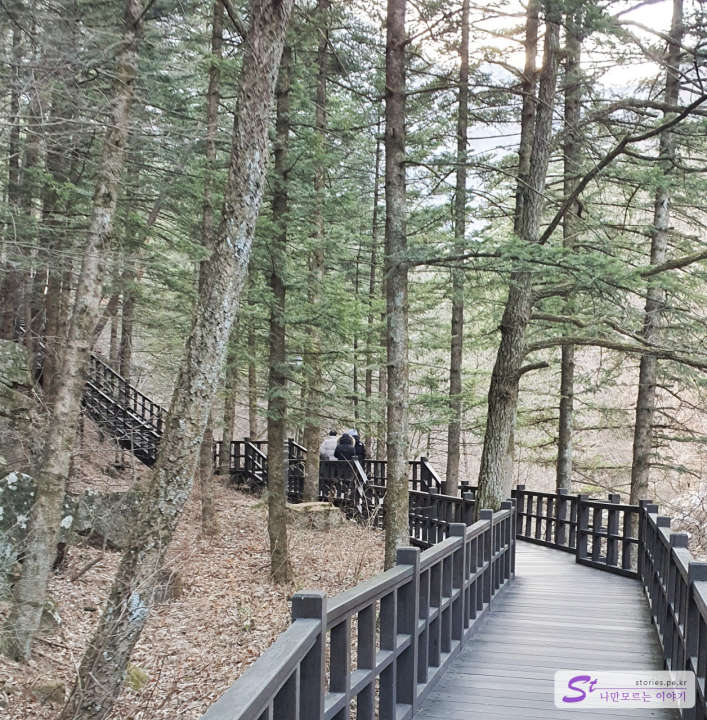 대금굴 가는 길