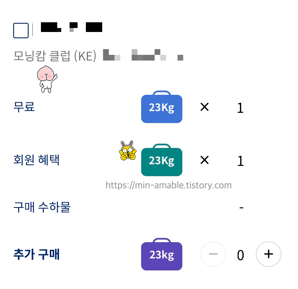 대한항공모닝캉수화물