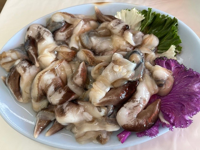 남당항 새조개 맛집 축제 가격 택배 만중이네회수산 내포횟집 전망대회수산 홍성본점 또오리회수산 온누리회수산 동백회수산 남해수산 푸른바다 싱싱바다이야기 이슬네수산 왕언니회수산