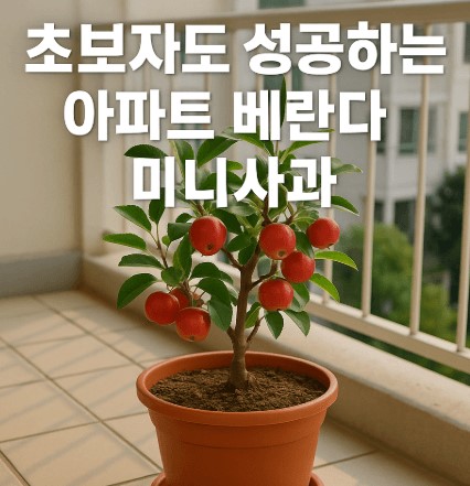 초보자도 성공하는 아파트 베란다 미니사과 재배법 &amp; 관리 노하우 사진