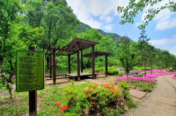 장령산 자연휴양림_10