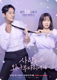 사랑은 외나무다리에서