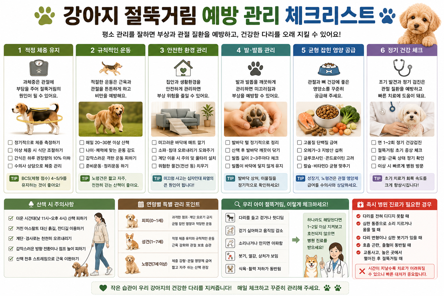 강아지 절뚝거림 예방 관리 체크리스트 이미지, 강아지 절뚝거려요 예방법, 강아지 다리 건강 관리, 발바닥 관리, 발톱 관리, 슬개골 탈구 예방, 관절 건강, 체중 관리, 산책 관리, 정기 건강검진