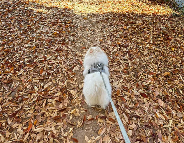 연암공원