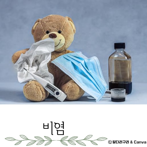 가정용 비염 치료기 추천 치료방법 