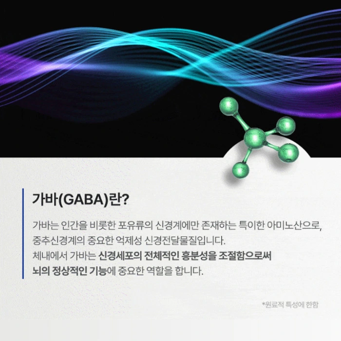 뉴티365 뉴티캄 내돈내산 후기 효과 성분 부작용 복용법 가격