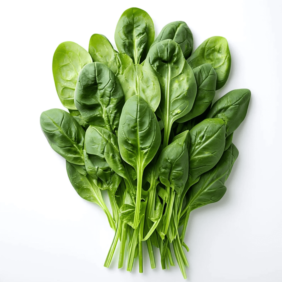 시금치 효능 부작용