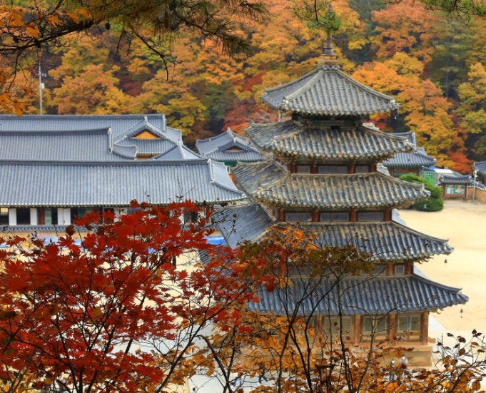 단풍시기